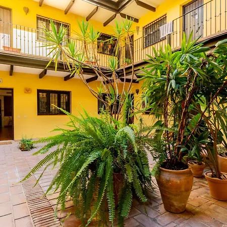 Loft En El Corral Del Horno Sevilla